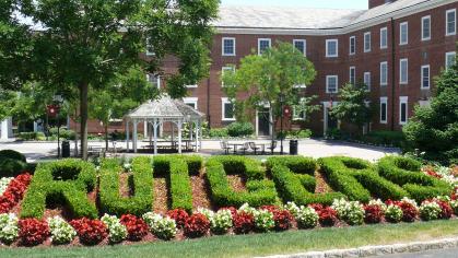 Picture of a flower bed with green hedging pruned in the shape of the word Rutgers