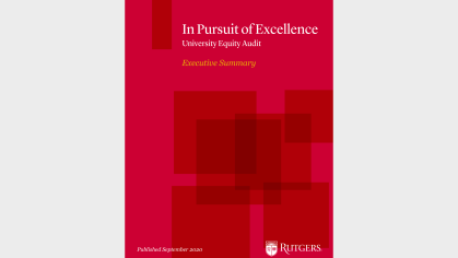 In Pursuit of Excellence, University Equity Audit, Executive Summary