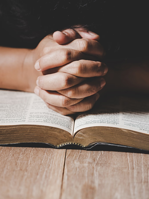 hands clasped, praying, on a book