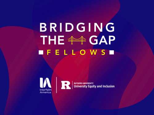 Bridging the Gap Fellows